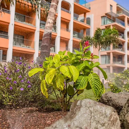 Arguineguin Park By Servatur Vv Holiday home La Playa de Arguineguin